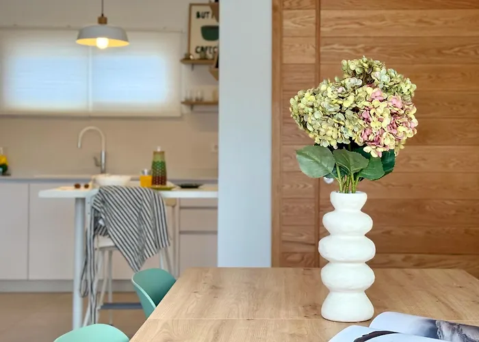 Canaryislandshost L Almar De 阿列塔